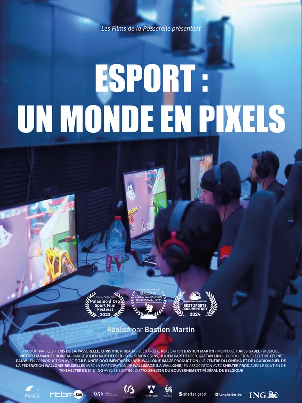 Esport : Un Monde en Pixels